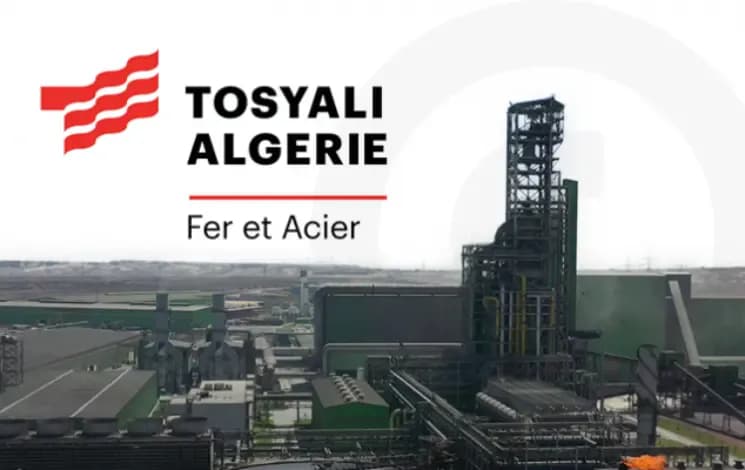 Oran: Project to Establish a Primary Processing Plant for Iron Ore at the 'Tosiali' Complex