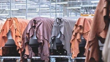Partnership Agreements to Support the Leather and Textile Industry and Enhance Training in Bouira