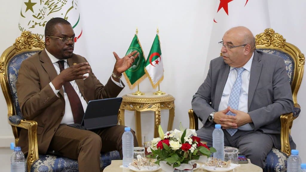 Pharmaceutical Manufacturing: A New Algerian-African Partnership