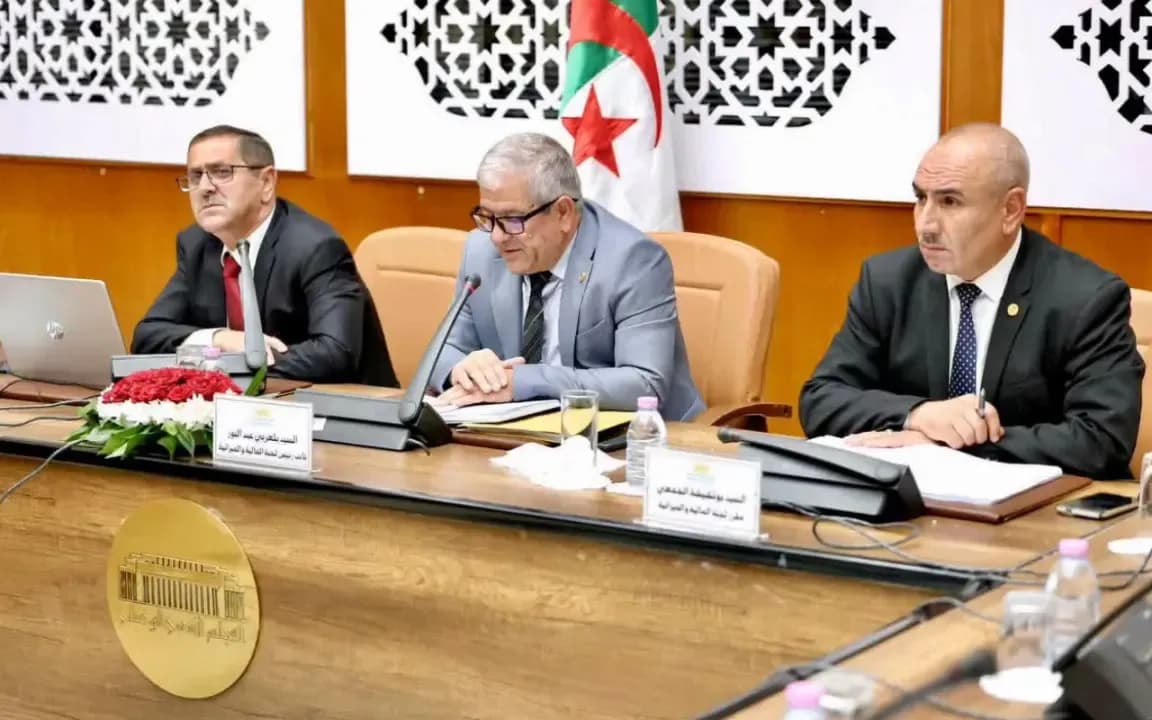 PLF 2027: The finance committee hears the director general of customs