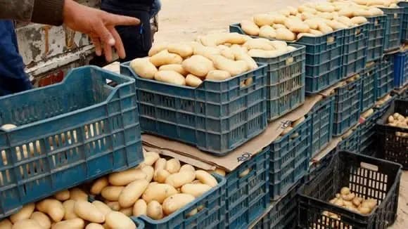 Potatoes.. New directive to cap prices