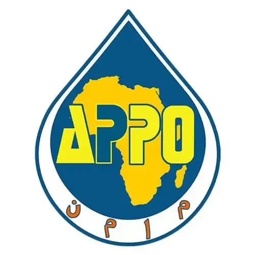Preparations for the launch of the African Energy Bank are progressing at a 'good pace'