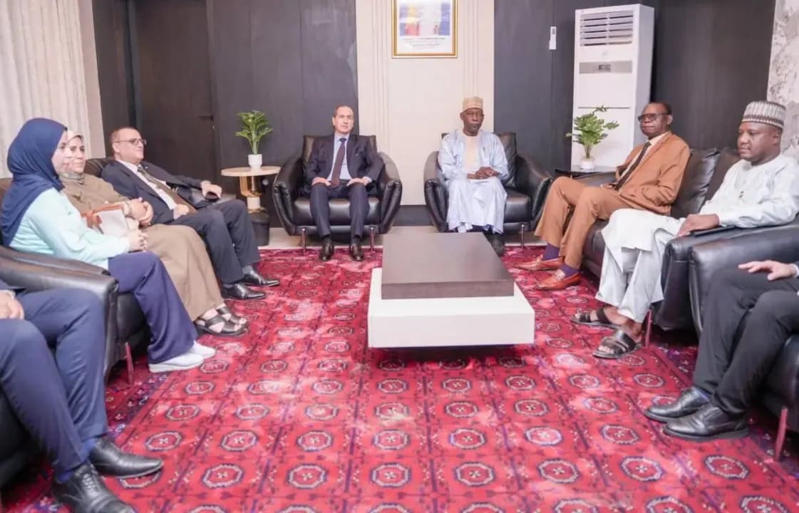 President of the National Economic, Social and Environmental Council on an official visit to Chad