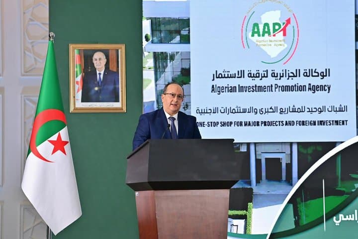 Prime Minister: 20,000 New Projects and More Than Half a Million Jobs Expected