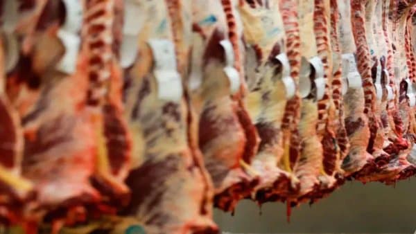 Production costs behind the rise in red meat prices