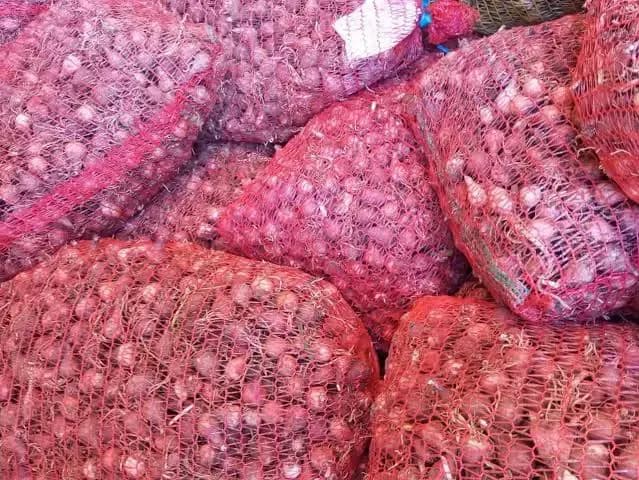 Production of over 133,000 quintals of dry onions