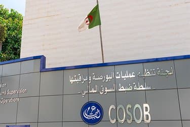 Public subscription of 100 billion to increase the capital of 'Irad' company