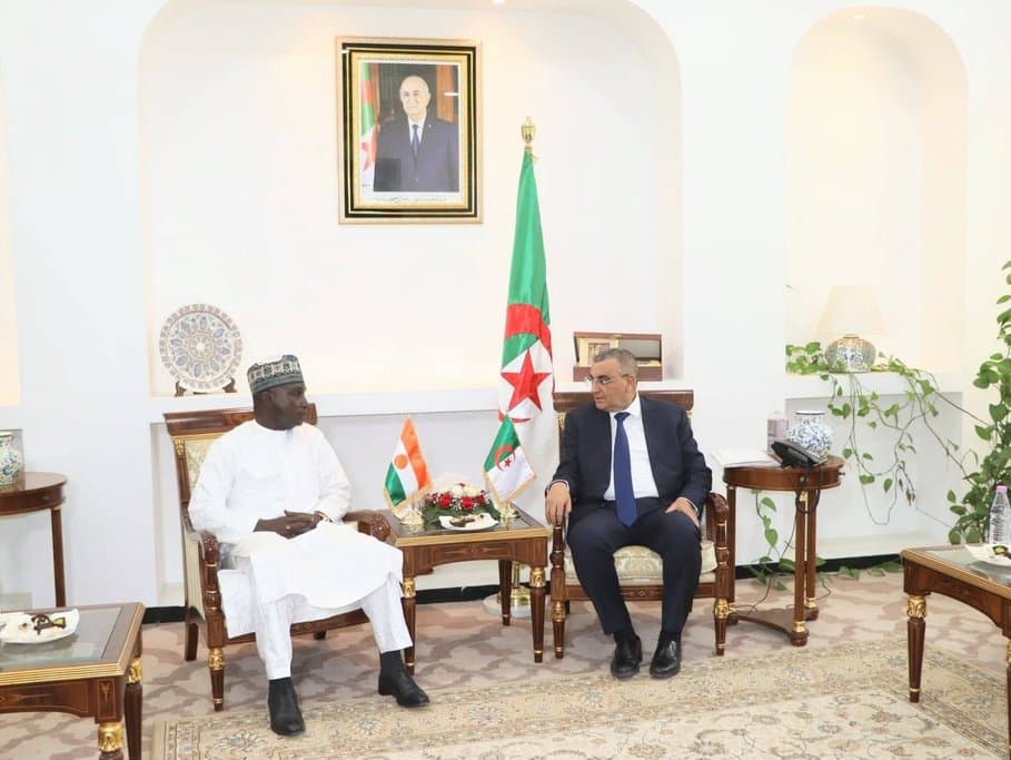 Public Works: Djilawi discusses prospects for bilateral cooperation with his Nigerian counterpart