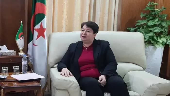 Review of Algerian-American Cooperation Opportunities in Mining