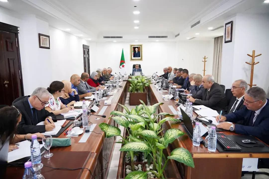 Review of SONELGAZ Results for the Second Quarter of 2026