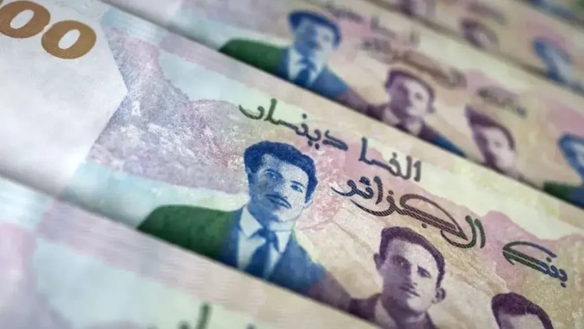 Review of the Wealth Tax System