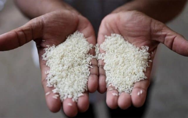 Rice: The planet stalls, Africa takes off