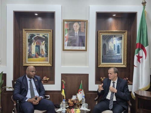Rizig discusses ways to enhance cooperation with the Mozambican Secretary of State for Trade