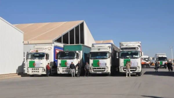 Rzig launches the largest export operation