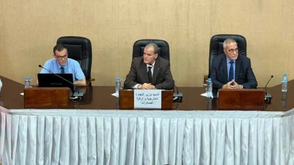 Rzig supervises a workshop on the digital platform for managing and monitoring service imports