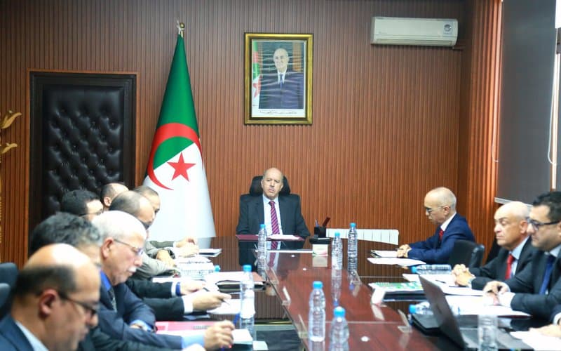 Sayhi emphasizes the need to accelerate the pace of comprehensive digitization of administrative procedures in sector-related bodies