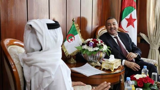 Sayoud confirms state support to expedite the implementation of the 'Our Country Algeria' project