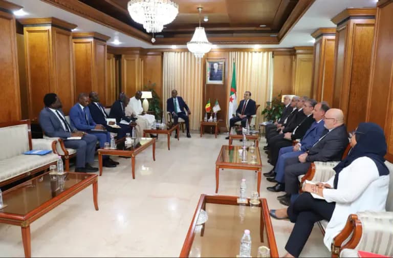 Senegal Confirms Its Commitment to Expanding Cooperation with Algeria in the Oil and Gas Industry