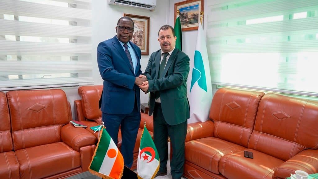 Sidal: Exploring Ways to Enhance Cooperation and Partnership with Niger in the Pharmaceutical Industry
