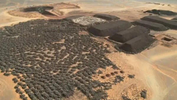 "Smart Mines".. "Huawei" Showcases Its Expertise in Algeria
