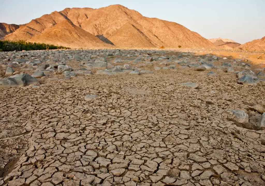 Soil erosion: The silent crisis threatening GDP