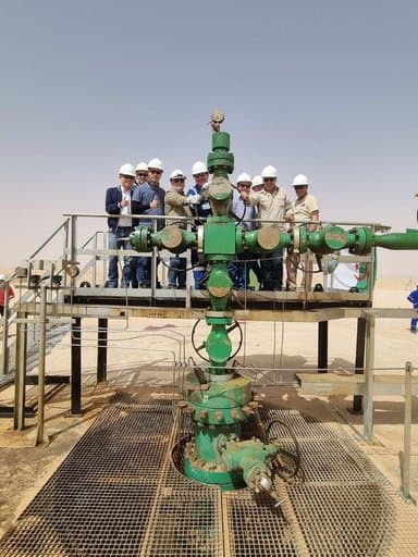 SONATRACH: Signing of two agreements to develop the Hassi Bir Rakaiz field and export petroleum products to Egypt