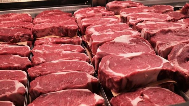 Soon.. Launch of Imported Red Meat for Wholesalers and Retailers