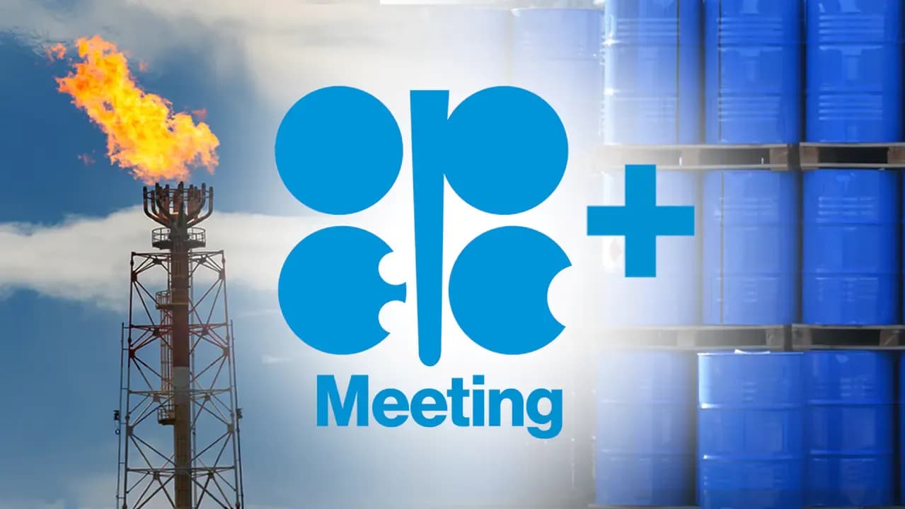 Sources: OPEC+ is set to maintain oil production levels in December