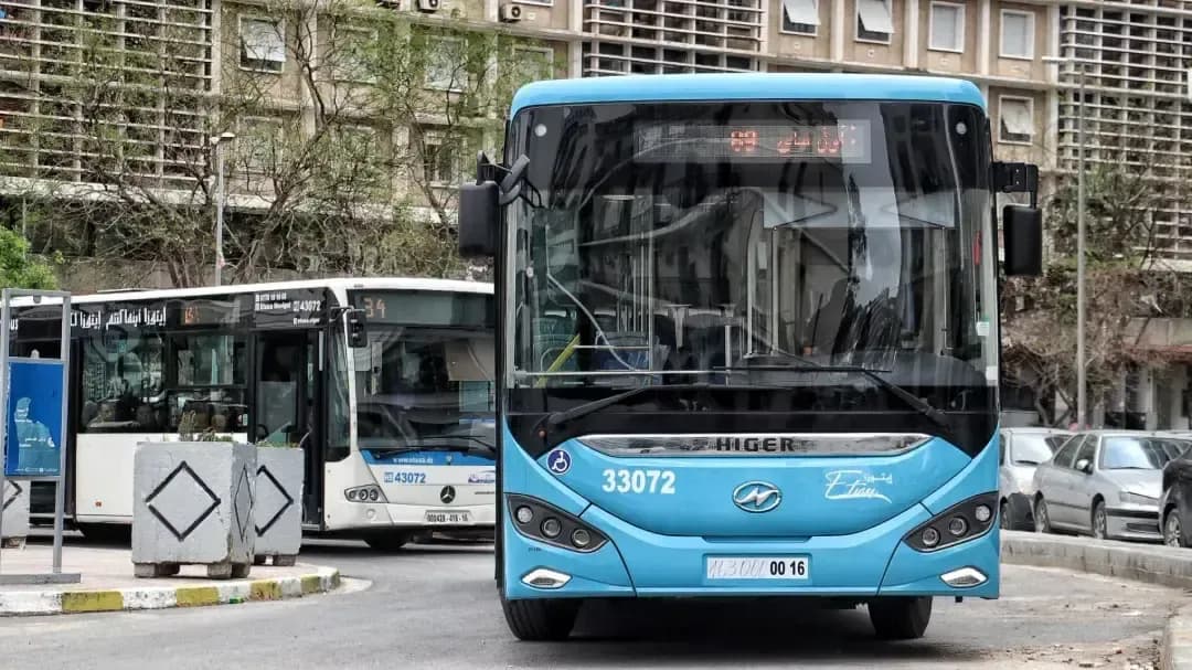 Special trips to transport visitors of the Algiers International Book Fair