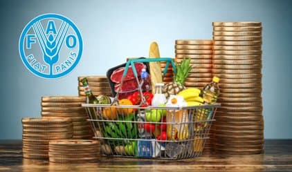 Stability of Global Food Prices in May Despite Rising Grains and Sugar