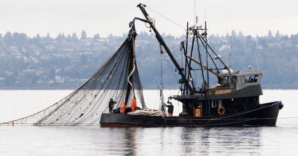 Strategic step for Algeria to expand deep-sea fishing activities