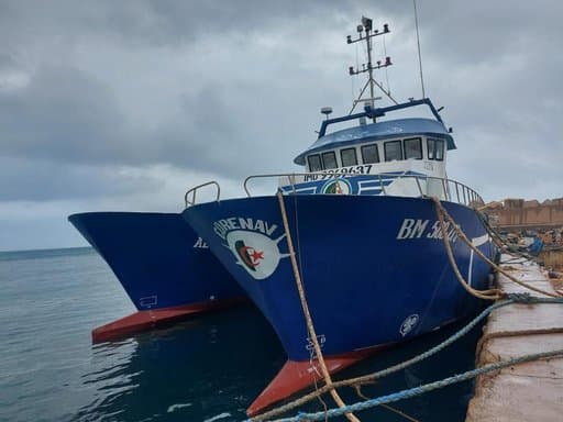 Strengthening the national fleet for large-scale fishing: Authorization to import vessels under 15 years old