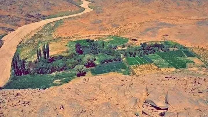 Tazrouk Enhances Fruit Tree Cultivation with Increasing Interest from Youth