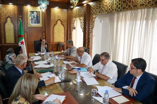 The 27th edition of the International Exhibition of Traditional Industry in Algiers from December 3 to 7