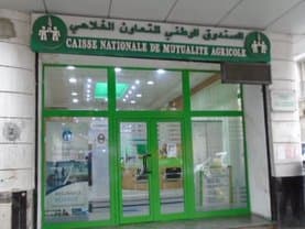 The agricultural risk insurance system will initially cover the grain sector