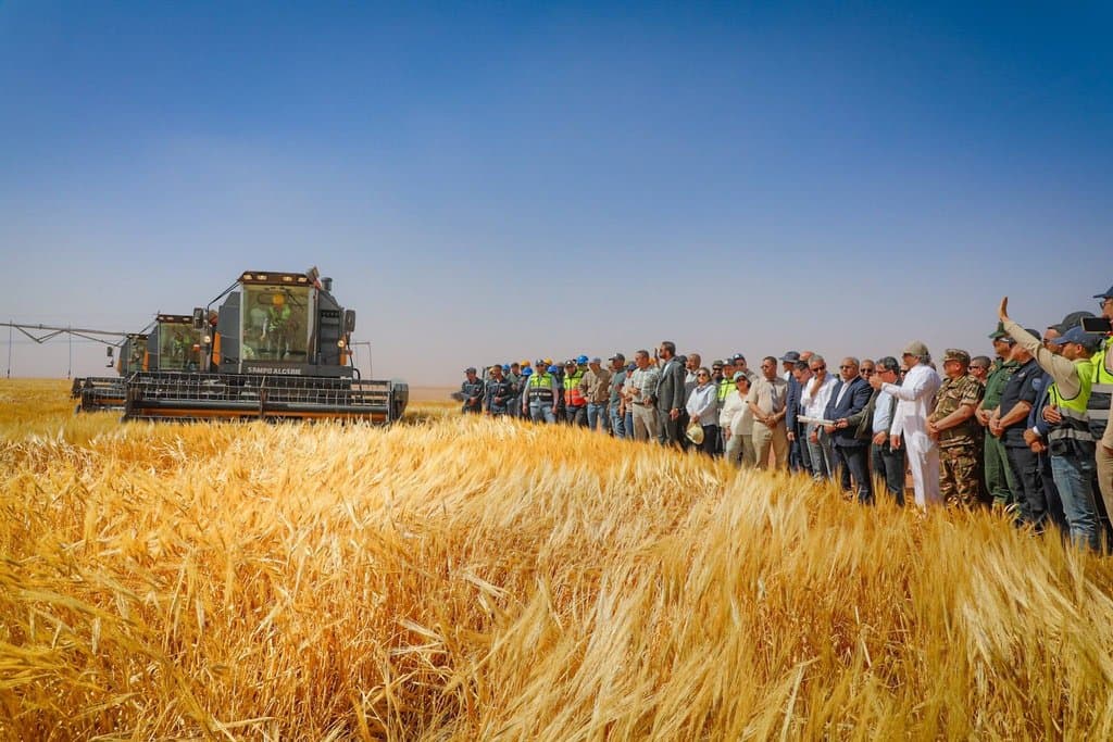 The Algerian-Qatari project 'Baladna': Launch of the harvest operation for the first experimental agricultural season