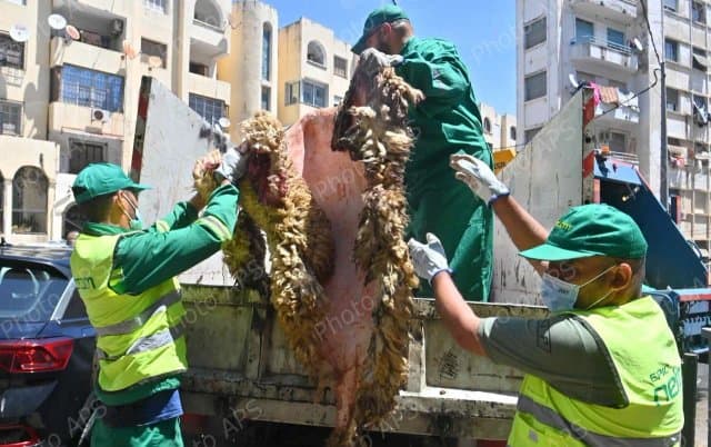 The campaign to collect the skins of sacrificial animals continues with organized efforts across various provinces of the country