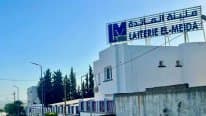 The closure of the 'Maidah' dairy in Annaba threatens 200 jobs and raises concerns about food security - Iqtissad Al Balad