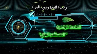 The Environmental Investor: A New Digital Platform for Financing Youth Projects in the Green Economy