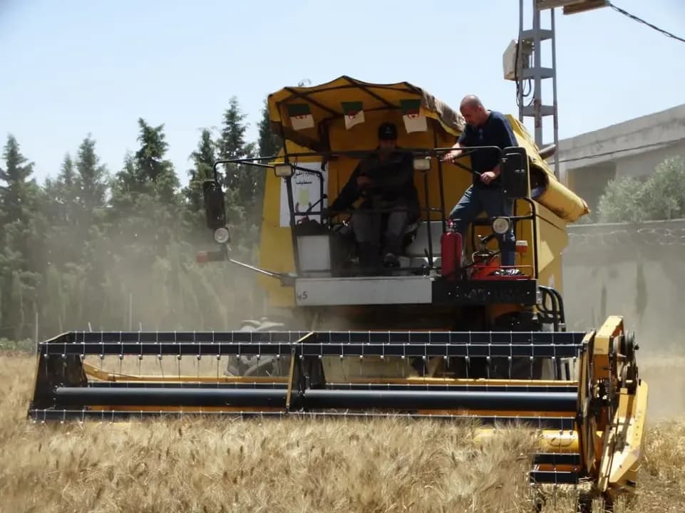 The facilitative measures taken will contribute to increasing the productivity of the grain sector