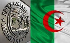 The International Monetary Fund praises Algeria's progress in diversifying the economy and combating money laundering