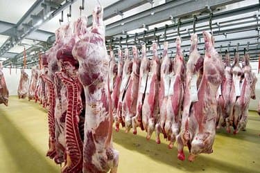 The launch of marketing imported and locally slaughtered meat soon - Iqtissad Al Balad