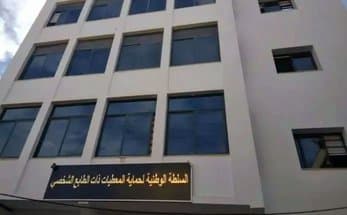The National Authority for the Protection of Personal Data Begins Hiring 60 Monitors and 60 Auditors - Iqtissad Al Balad