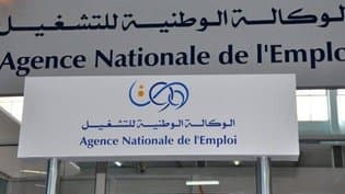 The National Employment Agency Launches an Awareness Campaign to Introduce the Digital Platform 'Insaad'