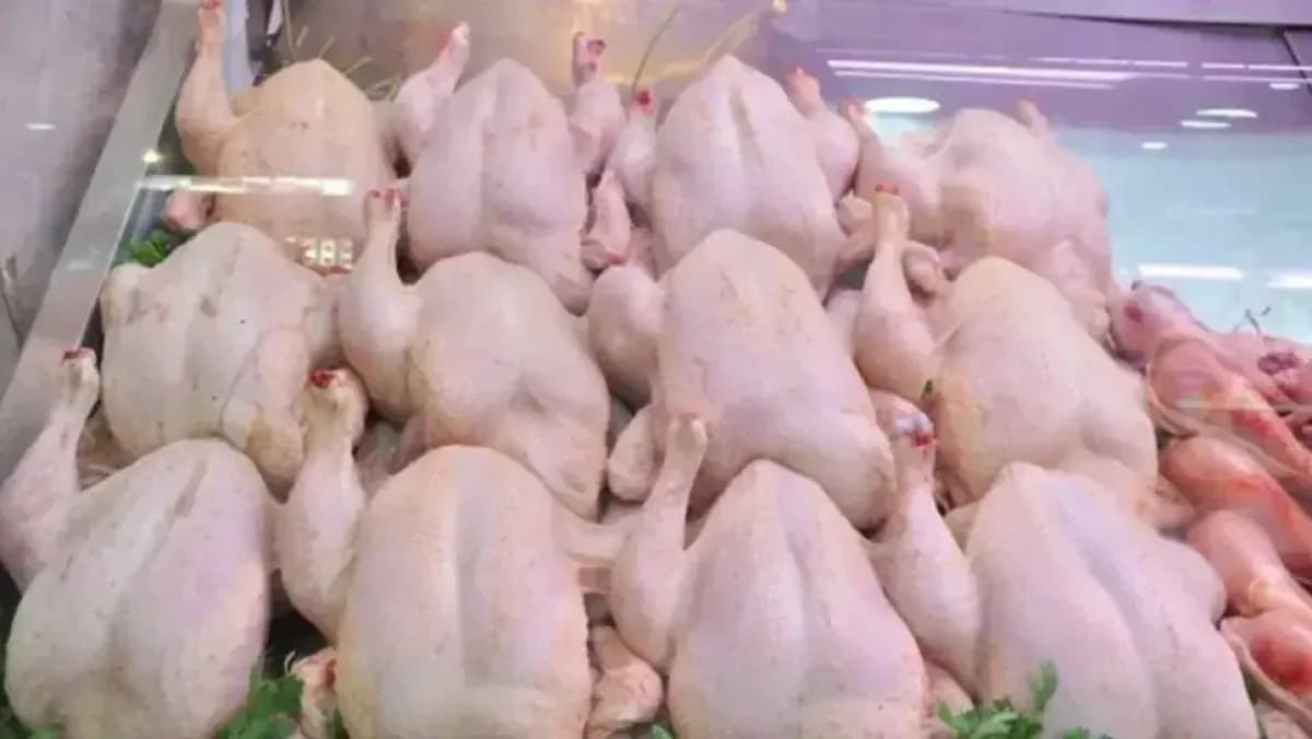 This is why white meat prices have declined