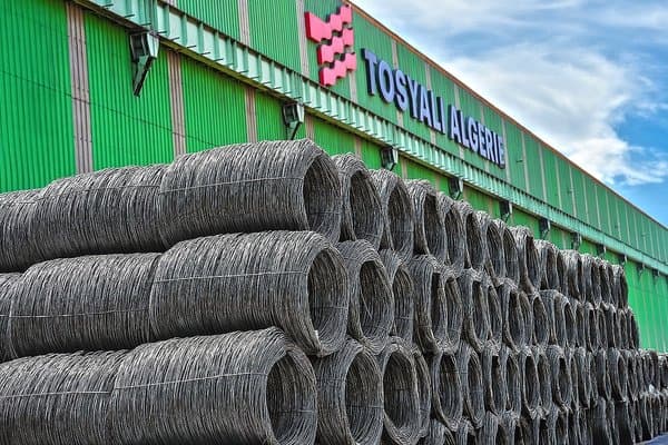 Tosiali Launches Project for Processing Gara Djebilet Ore