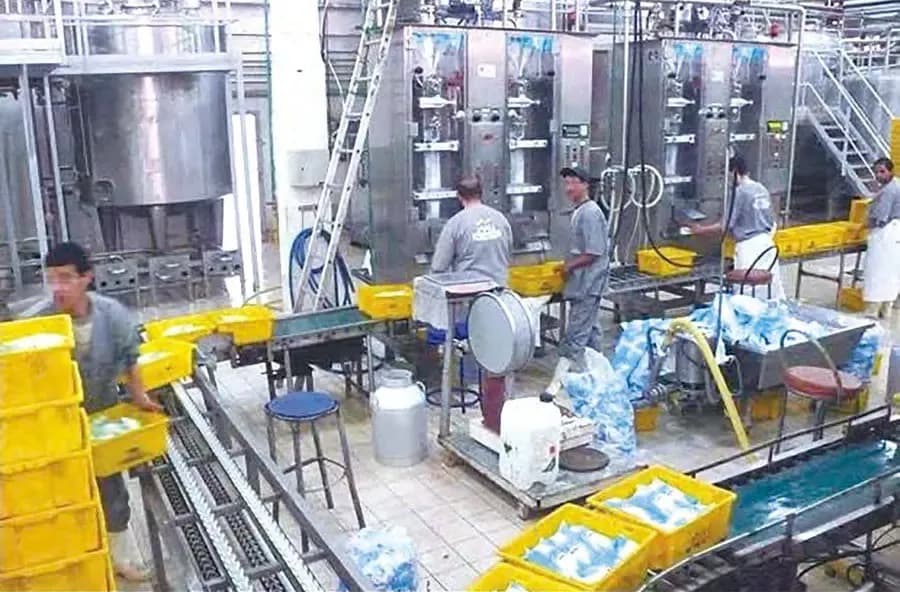 Towards local production and dairy sovereignty: Algeria slows down its milk imports