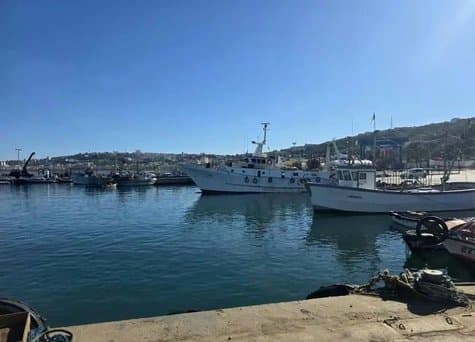 Towards the establishment of a fund to compensate sailors due to weather disturbances and biological rest periods