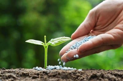 Training Workshop on Biofertilization and Organic Waste Valorization