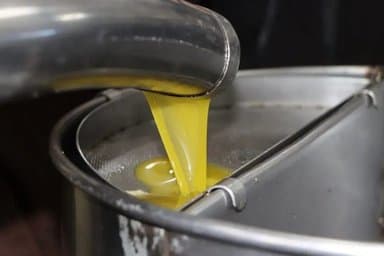 Tunisia: $1.48 billion in olive oil exports in 8 months
